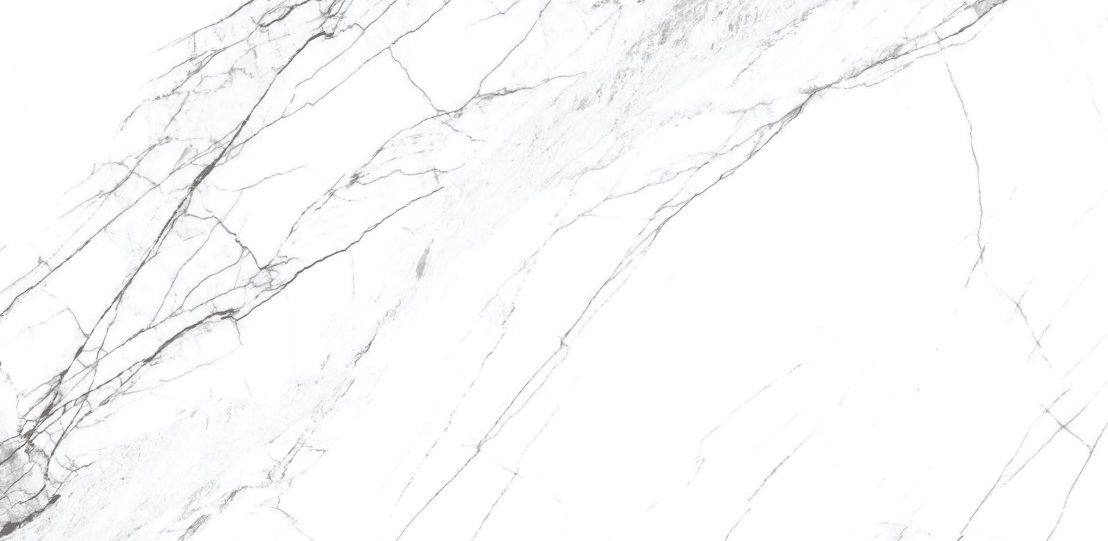 5058-DERBY-WHITE-1-scaled