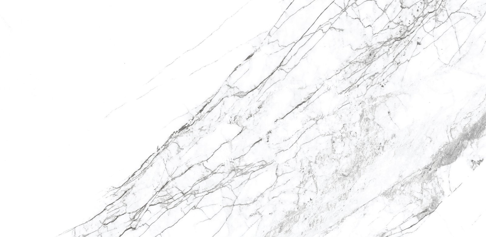 5058-DERBY-WHITE-2-scaled